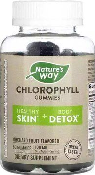 Хлорофіл Nature's Way Chlorophyll Gummies Orchard Fruit 100 mg 60 Gummies 2956569357 фото