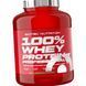 Спортивний сироватковий білок (протеїн) Scitec 100% Whey Protein Professional 2350 г 722 фото 1