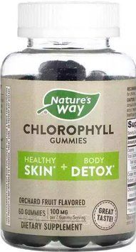 Хлорофіл Nature's Way Chlorophyll Gummies Orchard Fruit 100 mg 40 Gummies 2956569358 фото