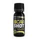 БСАА BioTech BCAA Shot zero carb 60 мл 6281 фото 2