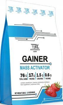 Гейнер Bodyperson Labs Gainer 2000г полуниця 2956576370 фото