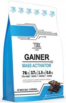 Гейнер Bodyperson Labs Gainer 2000 г зі смаком шоколаду 2956576371 фото
