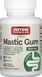 Мастикова смола Jarrow Formulas Mastic Gum 1000мг 60 раст капс 2956575420 фото 1