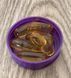 Омега 3 Natrol Omega 3 Fish Oil 150 гел капс лимон 11240 фото 7