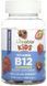 Вітамін B12 Lifeable Vitamin B12 Kids Sugar Free 60 жів таб журавлини 3108184100 фото 1
