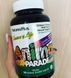 Витамины для детей Animal Parade Children's Multi-vitamin Mineral 180 animal-shaped tabs 20417 фото 1