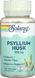 Псилліум лушпиння подорожника Solaray Psyllium Husk 525 mg 100 капс 22555 фото 1