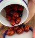 Коензим Q10 Now Foods CoQ10 100 mg 150 гельових капсул 11025 фото 6