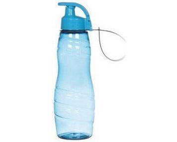 Бутылка для воды HEREVIN Waterbottle Tiger mix 750 мл blue 11026 фото