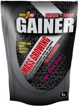 Гейнер для набирання ваги Power Pro Gainer 1000 гр лісова ягода 3173985410 фото