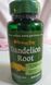 Puritan's Pride Dandelion Root 520 mg 100 caps 19472 фото 2