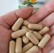 Екстракт кореня кульбаби Nature's Way Dandelion Root 100 вегетаріанських капсул 22641 фото 3