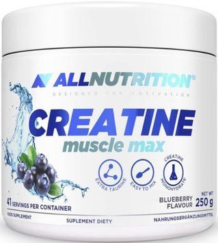 Креатин моногідрат All Nutrition Creatine Muscle Max 250 г черніка 21875-05 фото