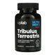 Трибулус VpLab Tribulus Terrestris 90 caps 2956565824 фото 1