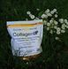 Пептиди морського колагену з гіалуроновою кислотою та вітаміном C California Gold Nutrition CollagenUP 464г 20612 фото 8