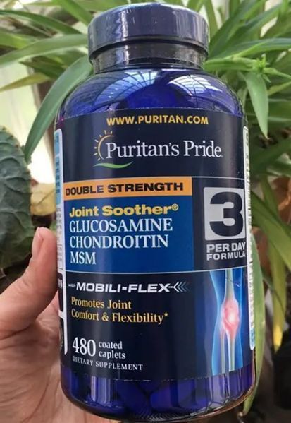 Double Strength Glucosamine, Chondroitin MSM Joint Soother 480 таблеток 11596 фото
