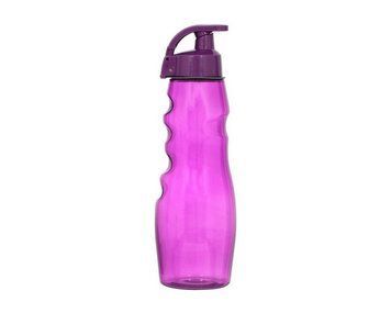 Пляшка для води HEREVIN Waterbottle Mix 500 мл purple 11029 фото