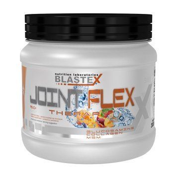 Для суглобів і зв'язок BLASTEX Joint Flex Therapy 300 г 10841 фото